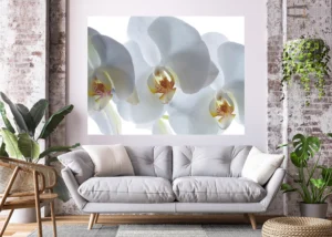 Wall Mural White Orchid, 180 x 127 cm, FTSs 0832 - Image 4