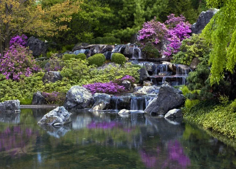 Wall Mural Still Lake, 180 x 127 cm, FTSs 0835 - Image 2