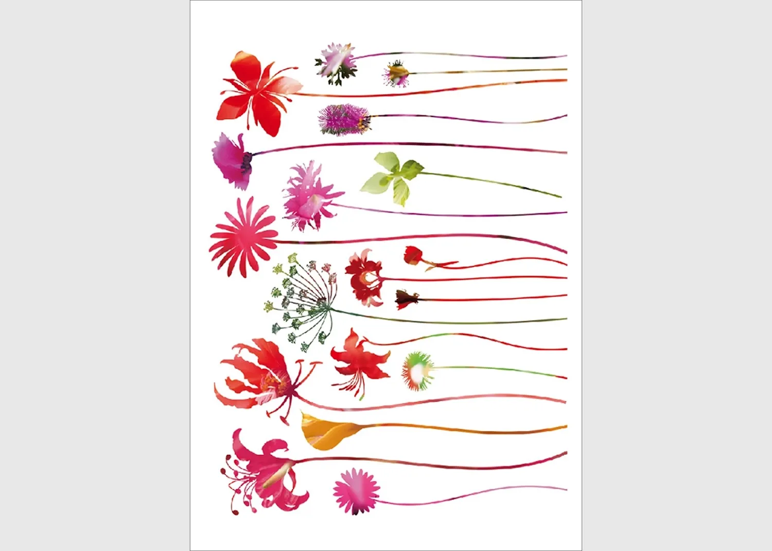 F_0444-1.webp Wall Stickers Red Nostalgy, 65 x 85 cm, F 0444