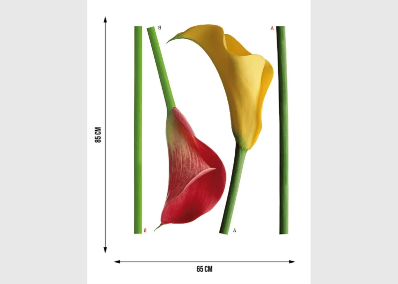 Wall Stickers Kaly, 65 x 85 cm, F 0447 - Image 5