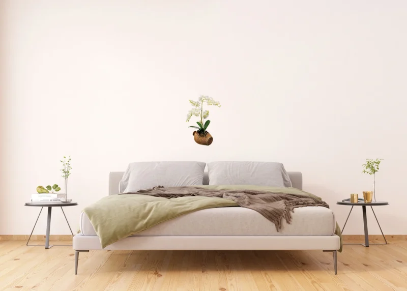 Wall Stickers Orchid in a Pot, 42,5 x 65 cm, SM 3430 - Image 3