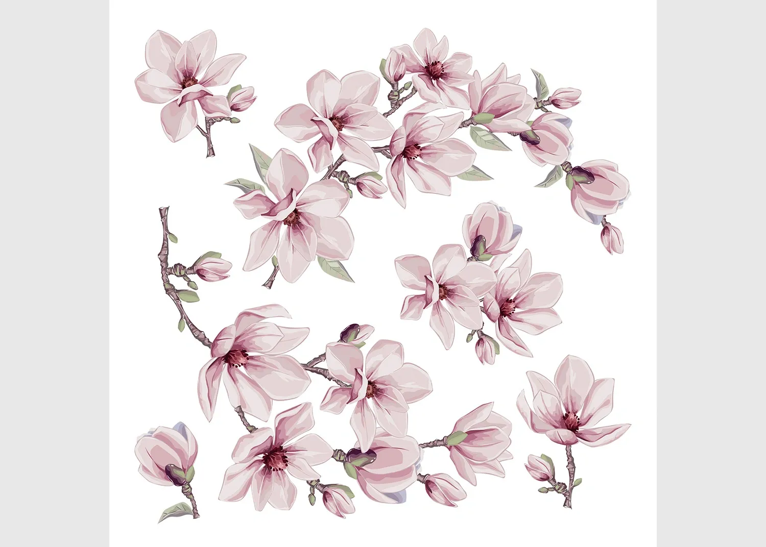 SS_3873 Wall Stickers Magnolia Blossom, 30 x 30 cm, SS 3873