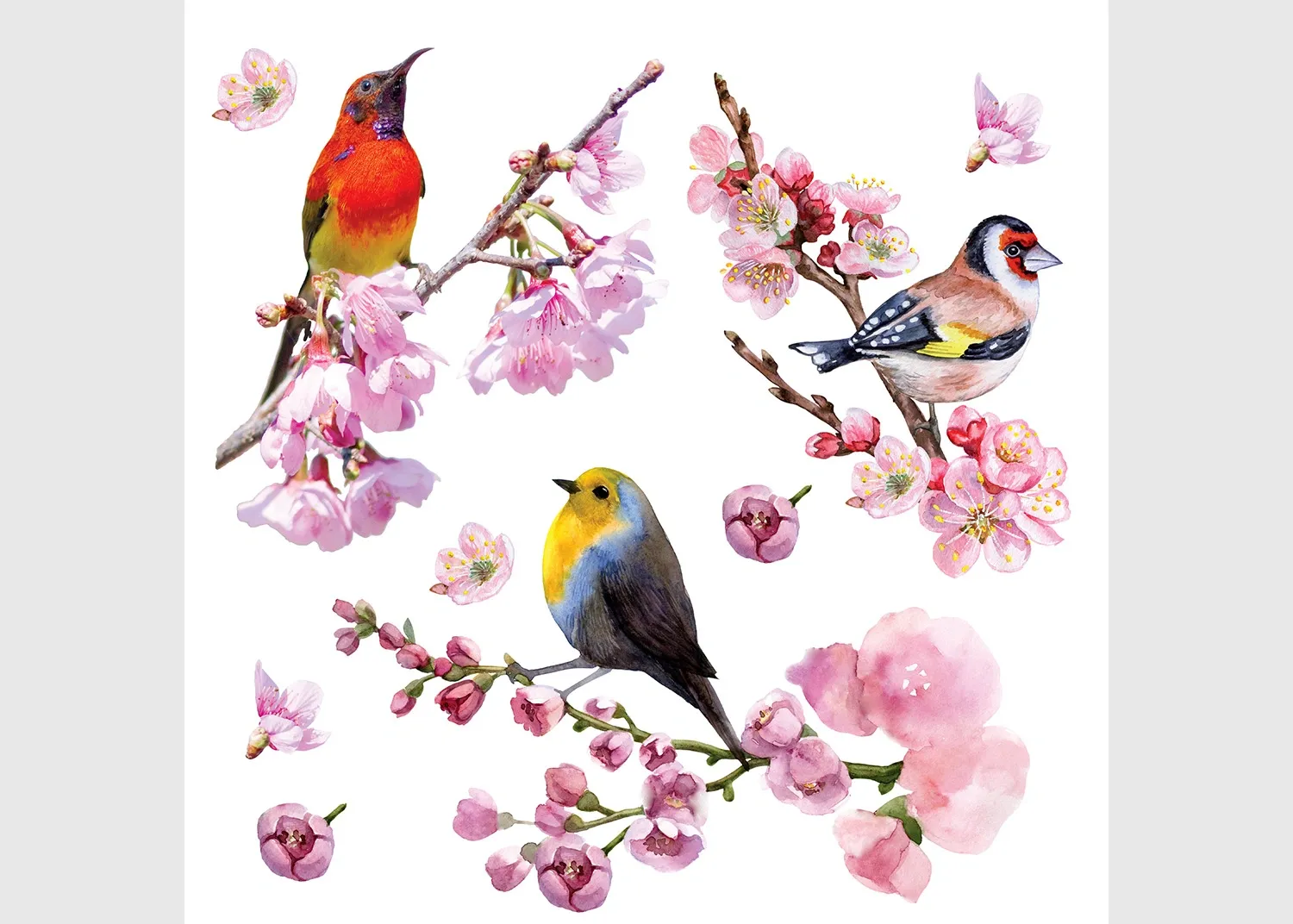 SS_3881 Wall Stickers Birds, 30 x 30 cm, SS 3881