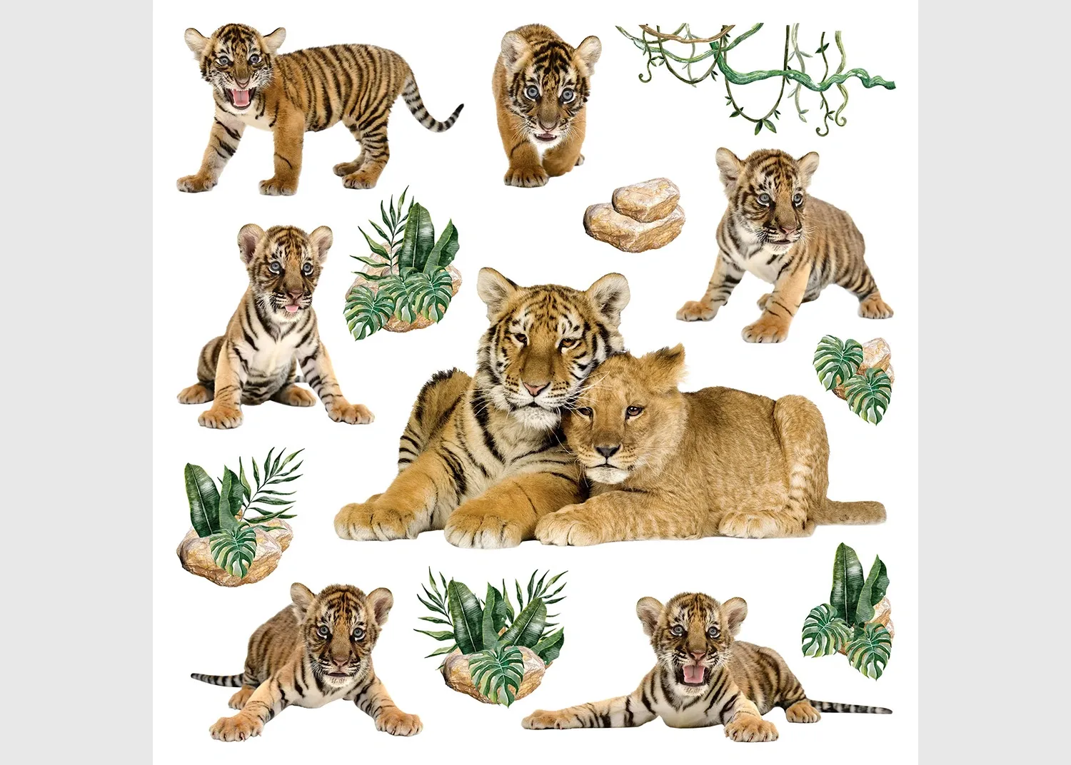 SS_3889_026 Wall Stickers Tigers, 30 x 30 cm, SS 3889