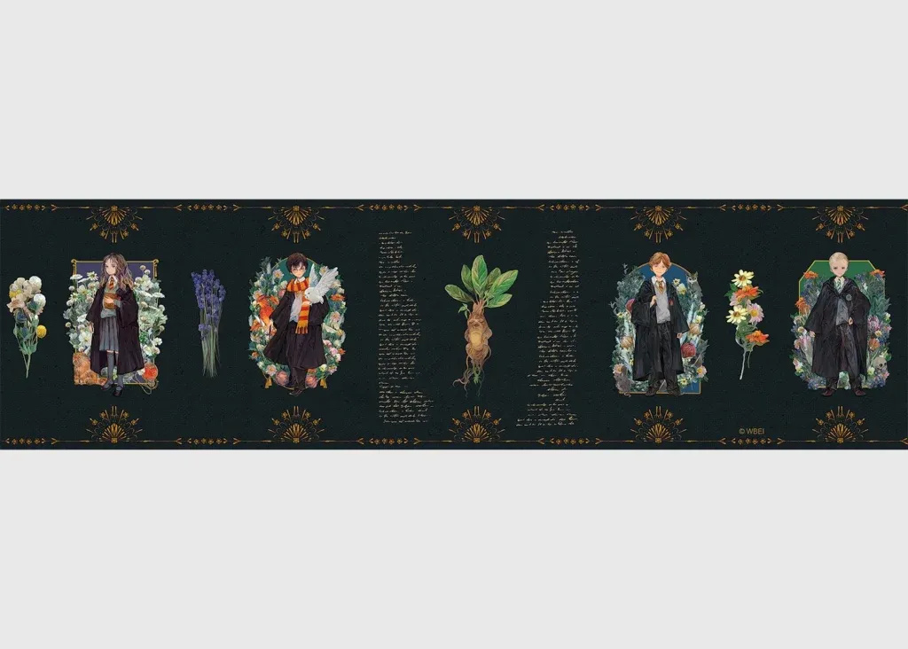 Wall Border Harry Potter | 5 m x 13.8 cm | WBD 8017